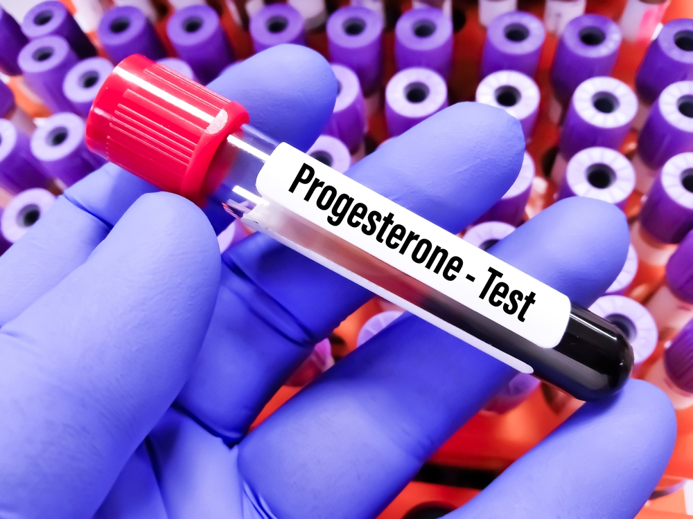 Progesterone Test for Dogs at K9 Clinics in London